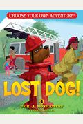 Lost Dog! (Skylark Choose Your Own Adventure)