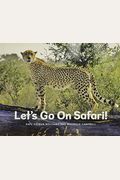 Let's Go On Safari