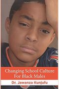 Changing School Culture For Black Males