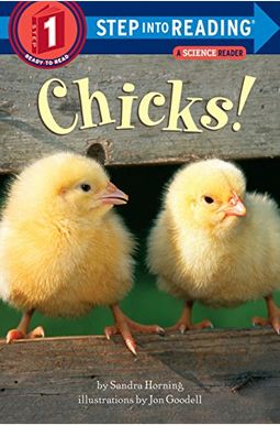 Chicks! Chicks!