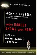 Where Nobody Knows Your Name: Life in the Minor Leagues of Baseball
