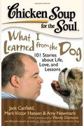 Chicken Soup For The Soul: What I Learned From The Dog: 101 Stories About Life, Love, And Lessons