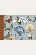 The Real Poop On Pigeons!: Toon Level 1
