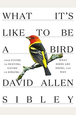 What It's Like To Be A Bird: From Flying To Nesting, Eating To Singing--What Birds Are Doing, And Why What It's Like To Be A Bird: From Flying To Nesting, Eating To Singing--What Birds Are Doing, And Why