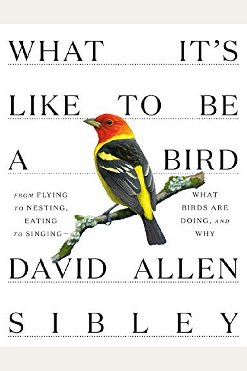 What It's Like To Be A Bird: From Flying To Nesting, Eating To Singing--What Birds Are Doing, And Why