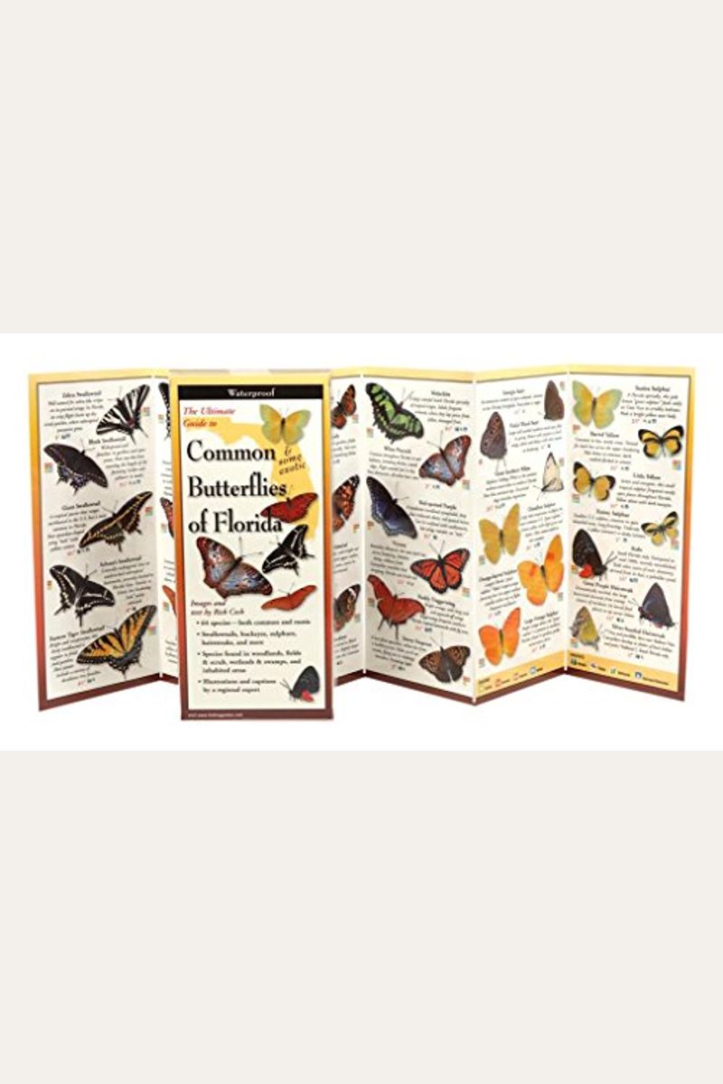 Buy Common Butterflies Of Florida Book By Rick Cech