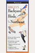 Sibley's Backyard Birds Of The Northeast