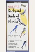Sibley's Back. Birds Of Florida