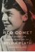 Red Comet: The Short Life And Blazing Art Of Sylvia Plath