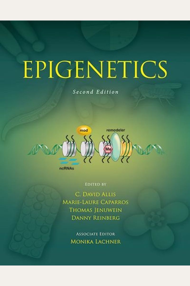 Buy Epigenetics, Second Edition Book By: C D Allis