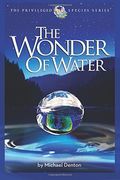 The Wonder Of Water: Water's Profound Fitness For Life On Earth And Mankind