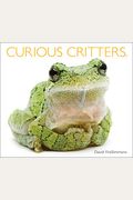 Curious Critters