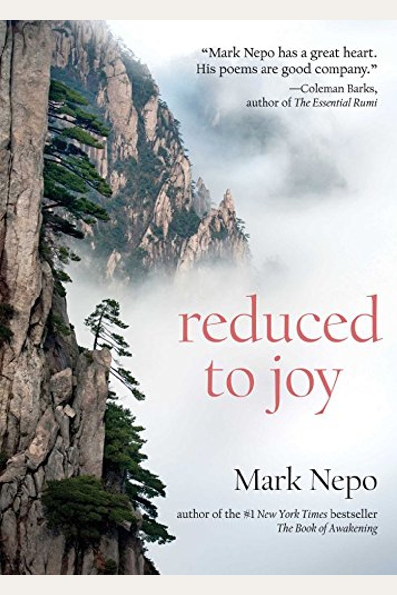 Reduced To Joy: The Journey From Our Head To Our Heart
