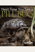 Next Time You See A Pill Bug