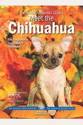 Meet The Chihuahua