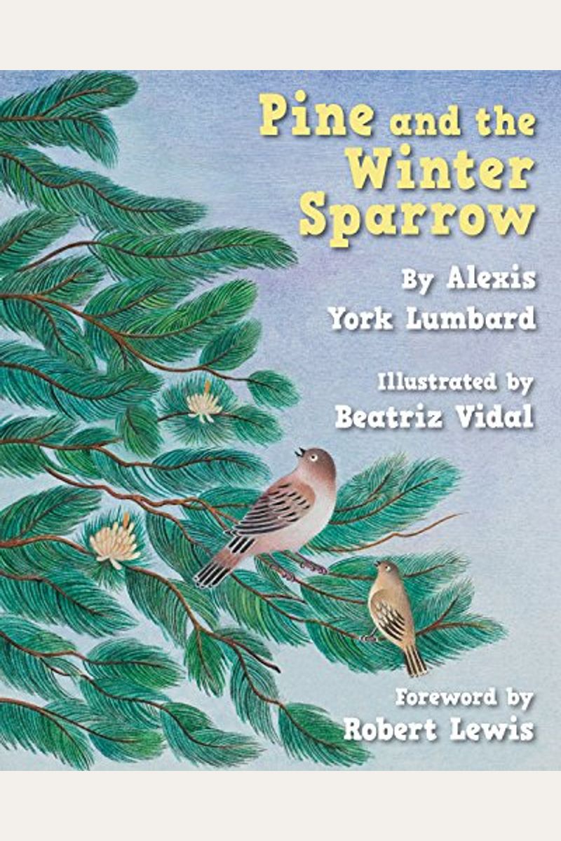 Pine And The Winter Sparrow