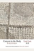 Canyon In The Body