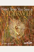 Next Time You See A Spiderweb