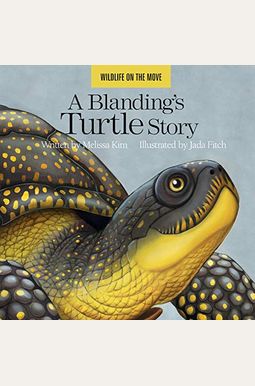 Buy A Blanding's Turtle Story Book By: Melissa Kim