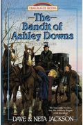 The Bandit Of Ashley Downs: Introducing George MüLler