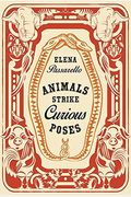 Animals Strike Curious Poses
