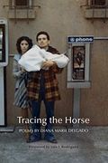 Tracing The Horse