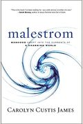 Malestrom: Manhood Swept Into The Currents Of A Changing World