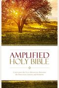 Amplified Bible-Am: Captures The Full Meaning Behind The Original Greek And Hebrew