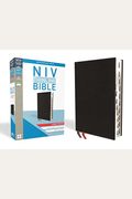 Thinline Bible-Niv-Large Print