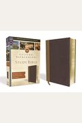 Nrsv, Cultural Backgrounds Study Bible, Leathersoft, Tan/Brown, Comfort Print: Bringing To Life The Ancient World Of Scripture