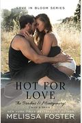 Hot For Love: Nick Braden (The Bradens & Montgomerys: Pleasant Hill - Oak Falls)