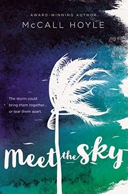 Meet The Sky Meet The Sky