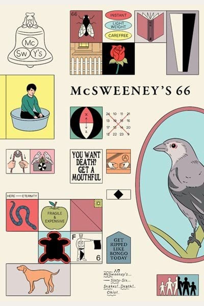 Mcsweeney's Issue 66 (Mcsweeney's Quarterly Concern)