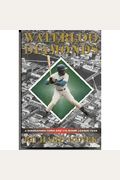 Waterloo Diamonds: A Midwestern Town And Its Minor Leaque Team