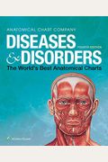 Diseases & Disorders: The World's Best Anatomical Charts