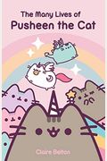 The Many Lives Of Pusheen The Cat