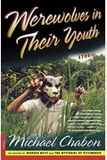 Werewolves In Their Youth: Stories