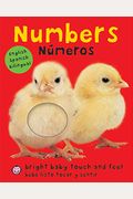 Bright Baby Touch & Feel: Bilingual Numbers: English-Spanish Bilingual
