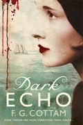 Dark Echo: A Ghost Story