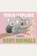 Touch And Explore: Baby Animals