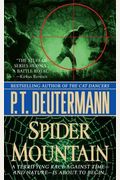 Spider Mountain