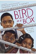 Bird In A Box