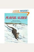 Playful Slider: The North American River Otter