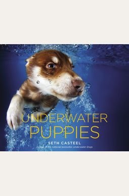 Underwater Puppies Underwater Puppies