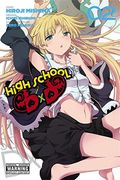 High School Dxd, Vol. 2 - Manga