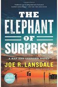 The Elephant Of Surprise