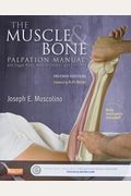 The Muscle and Bone Palpation Manual with Trigger Points, Referral Patterns and Stretching