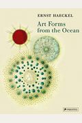 Art Forms From The Ocean: The Radiolarian Prints Of Ernst Haeckel