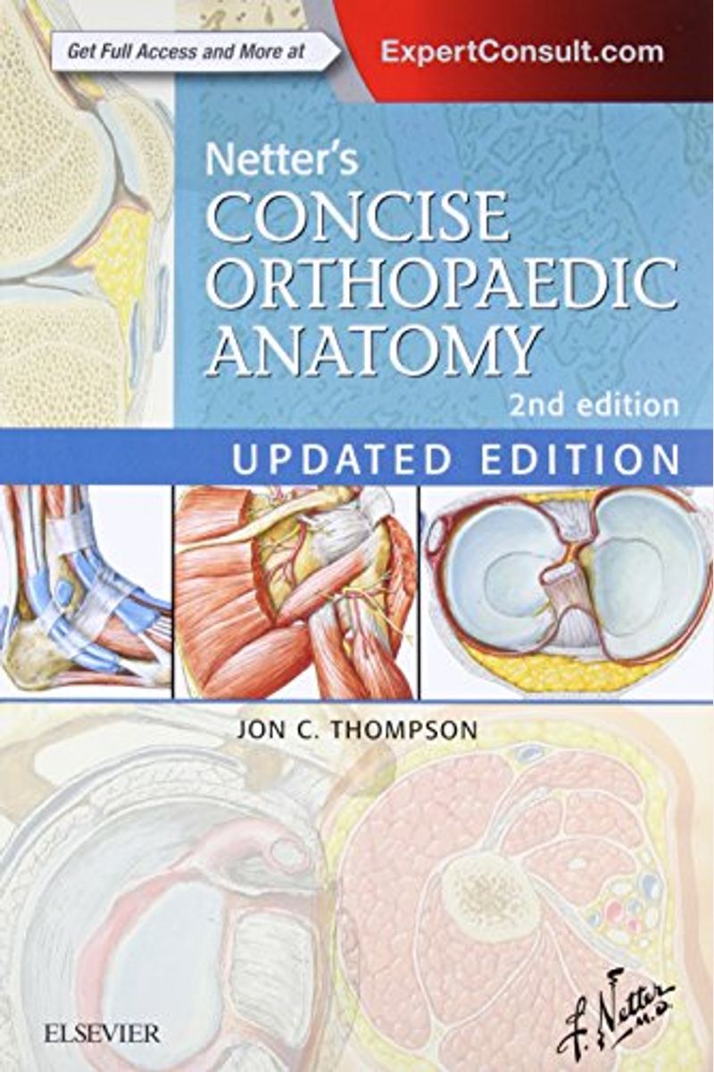 Netter's Concise Orthopaedic Anatomy, Updated Edition