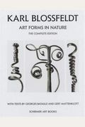 Karl Blossfeldt: Art Forms In Nature